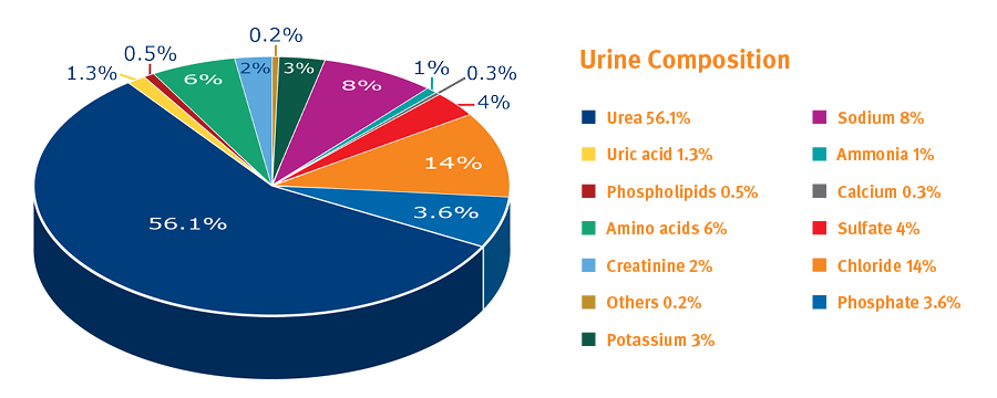 BIOMARK2.249 - Urine Composition